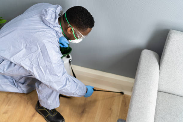 Best Pest Exclusion Services  in Pittsburg, KS